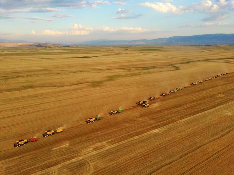 Türkiye'de kişi başına 250 kilo buğday üretiliyor