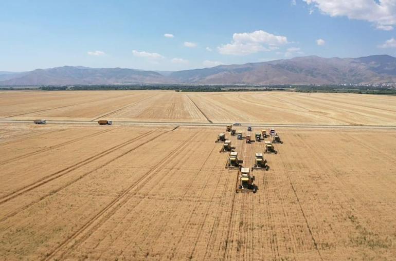 Türkiye'de kişi başına 250 kilo buğday üretiliyor