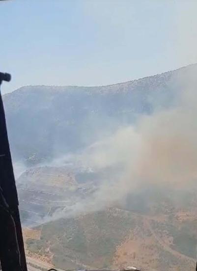 İzmir'de orman yangını