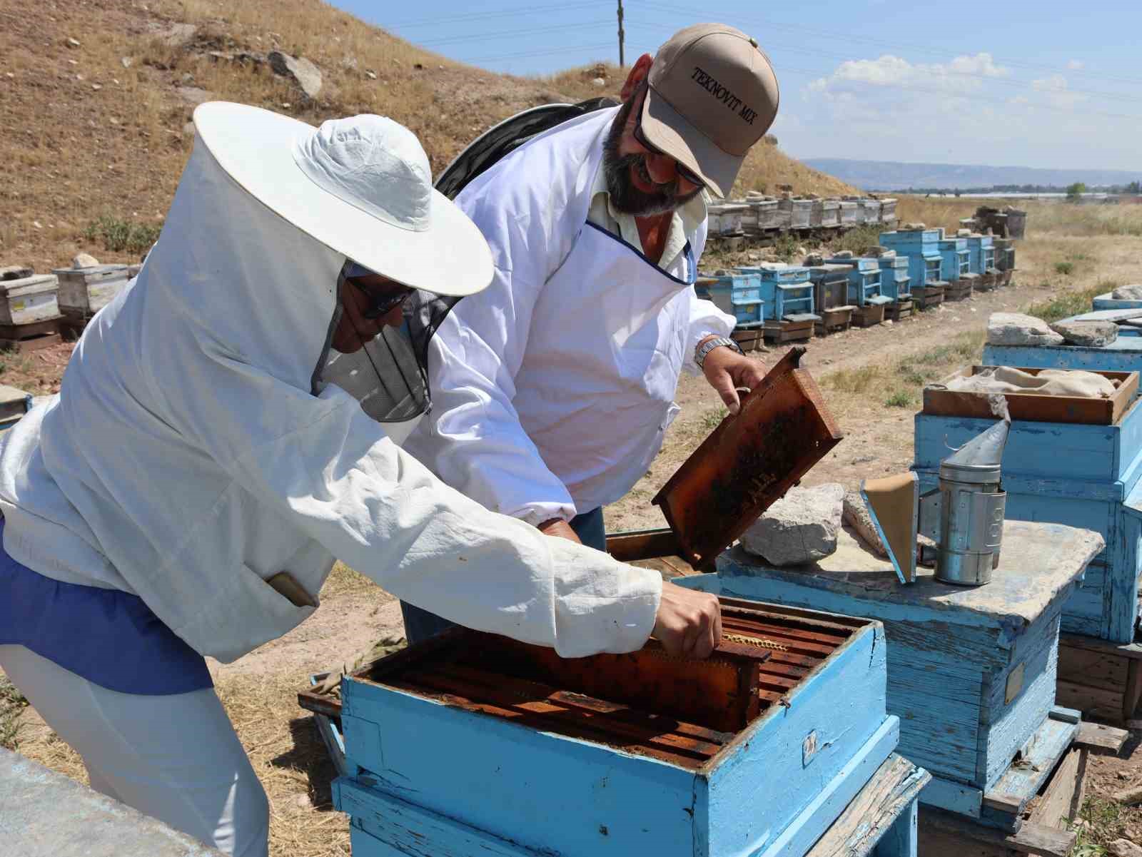 Eskişehirli arıcılar daha fazla destek bekliyor