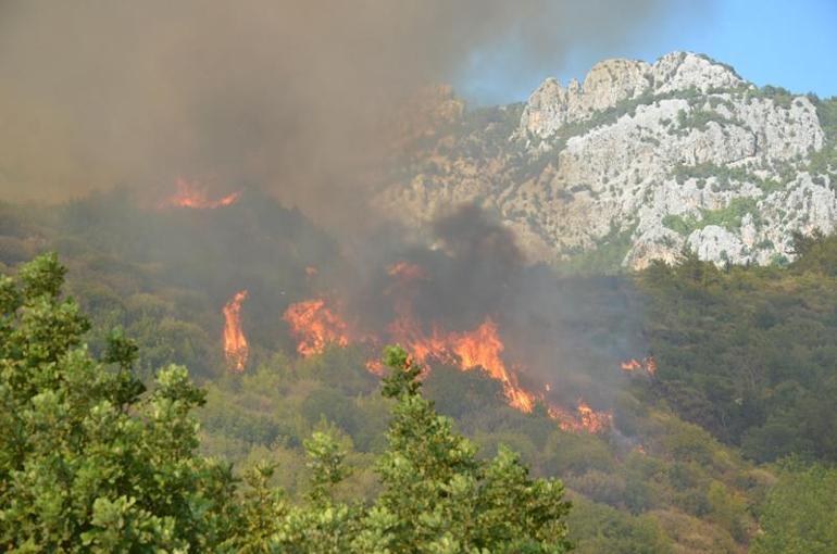 Antalya'daki orman yangınında 65 hektar kül oldu