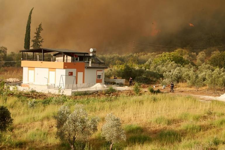 Antalya'daki orman yangınında 65 hektar kül oldu