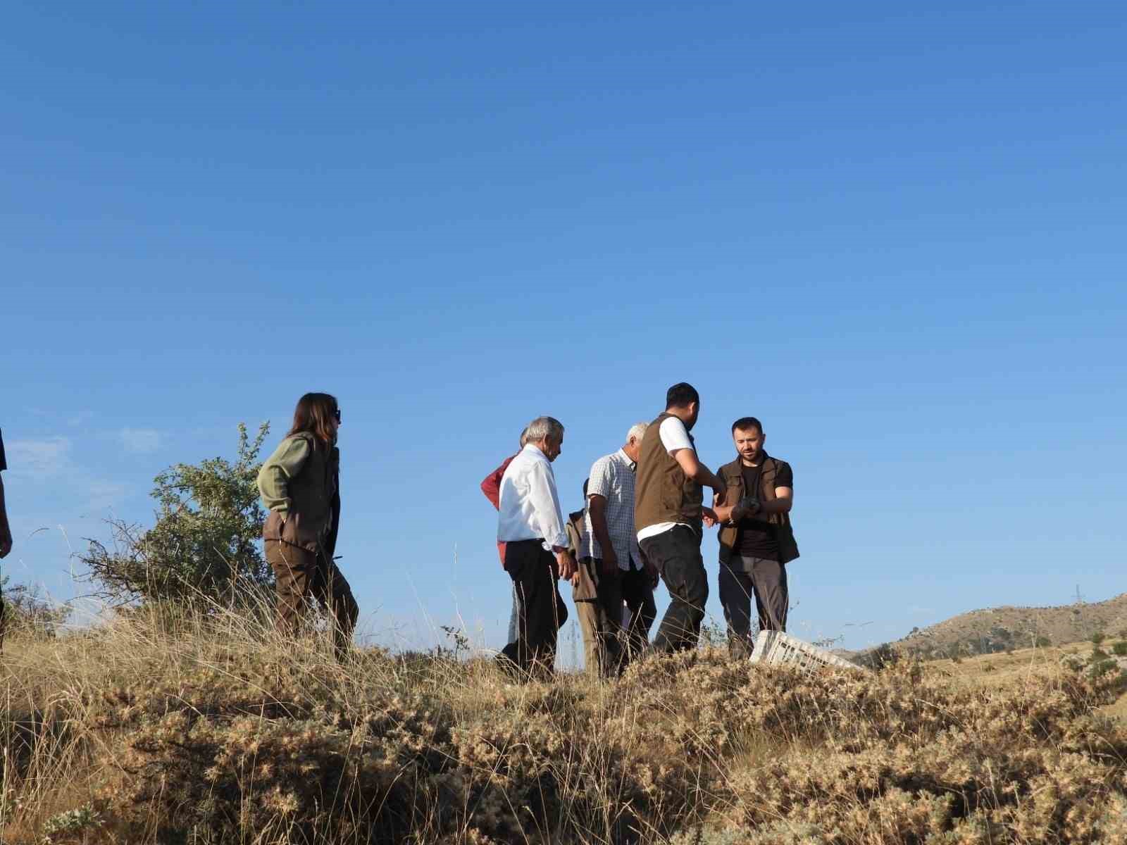 Sivrihisar’da 600 adet kınalı kekliğin doğaya salımı gerçekleştirildi