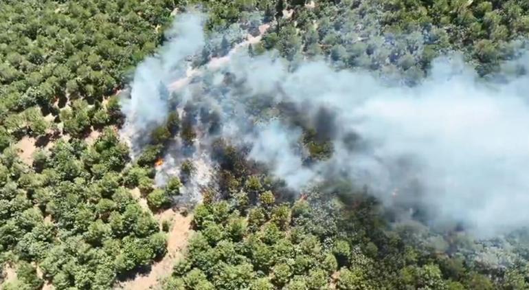 Bayramiç'teki orman yangını 24 saat sonra kontrol altına alındı