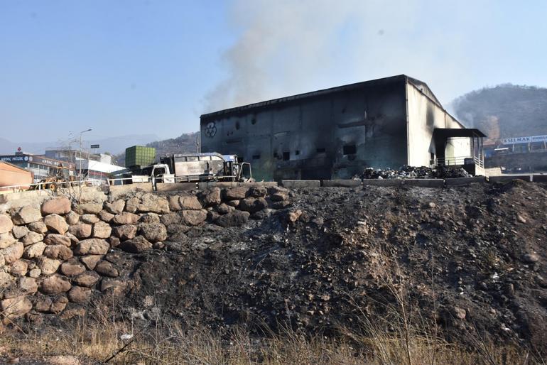 İzmir'deki orman yangınlarına havadan ve karadan müdahale sürüyor