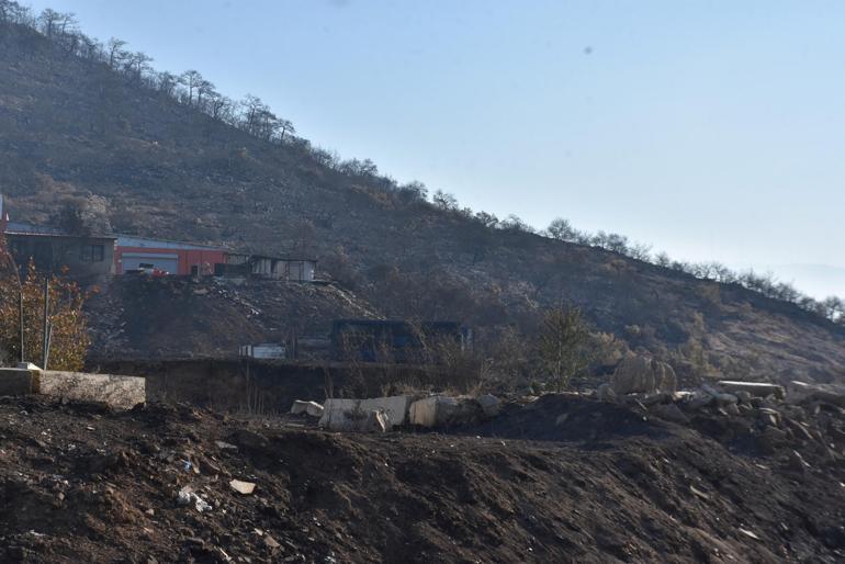 İzmir'deki orman yangınlarına havadan ve karadan müdahale sürüyor