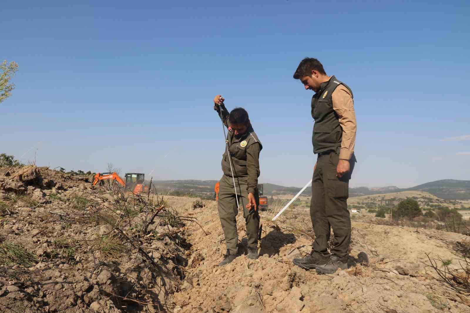 Kül olan 312 hektar ormanlık alan 333 bin fidanla yeşertilecek