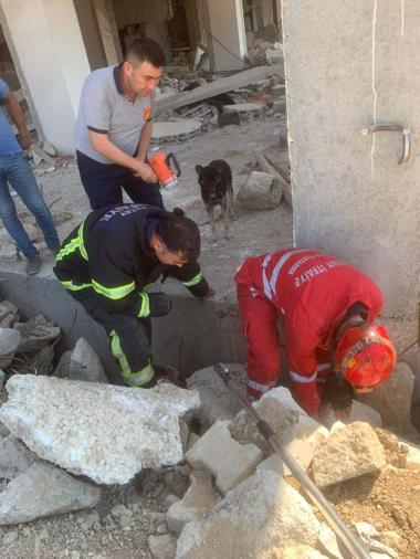 Enkazda sıkışan yavru köpekler kurtarıldı, anneleri bir an olsun başlarından ayrılmadı