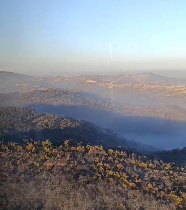 Manisa’daki orman yangınında 5’inci gün