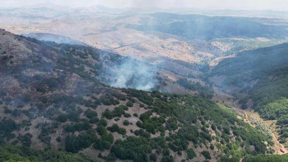 Sivas'ta orman yangını; dozer devrildi, operatörü öldü