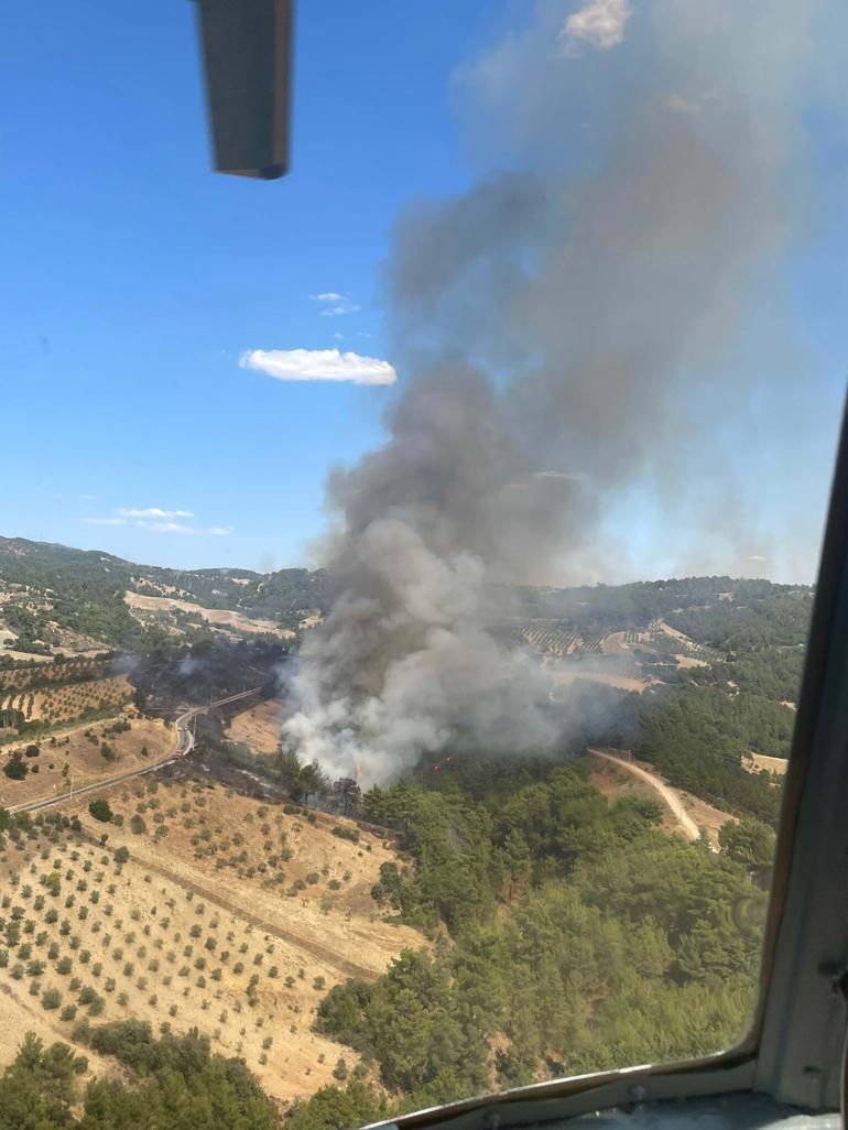 Manisa'da orman yangını