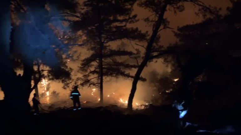 İzmir'de ikinci orman yangını; Karşıyaka ilçesinde de çıktı