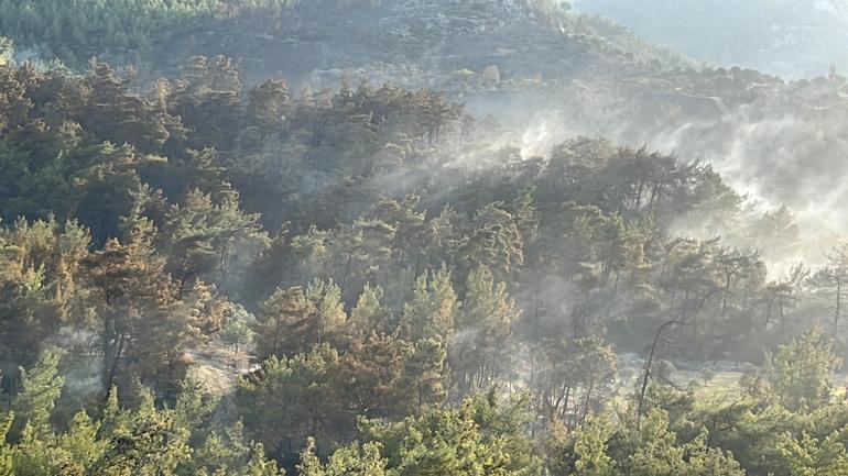 Milas’taki orman yangınında 2’nci gün