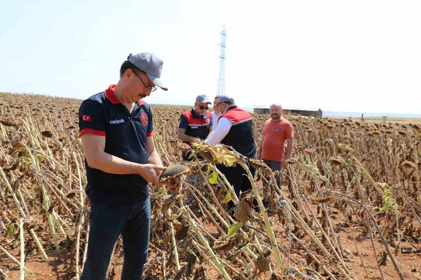 Eskişehir’de tarımsal üretimin planlama toplantıları devam ediyor