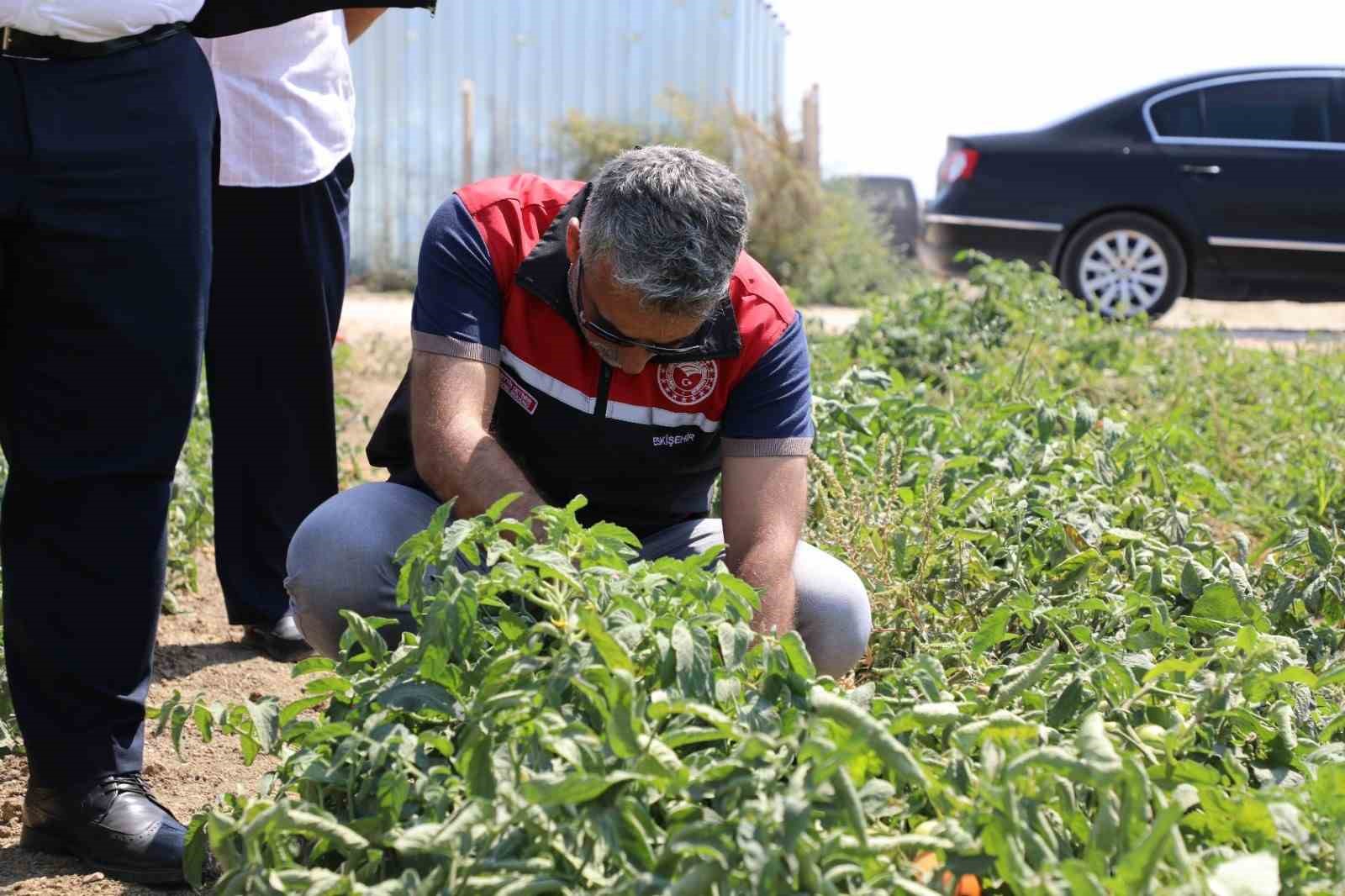 Eskişehir’de tarımsal üretimin planlama toplantıları devam ediyor