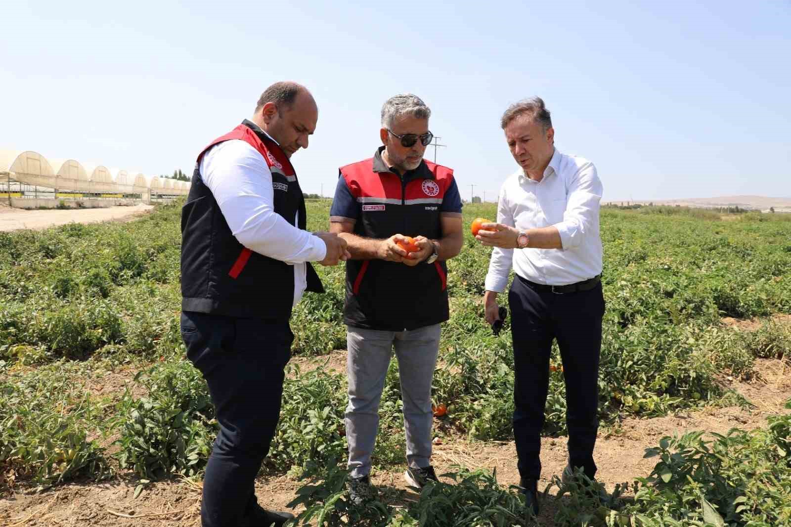 Eskişehir’de tarımsal üretimin planlama toplantıları devam ediyor