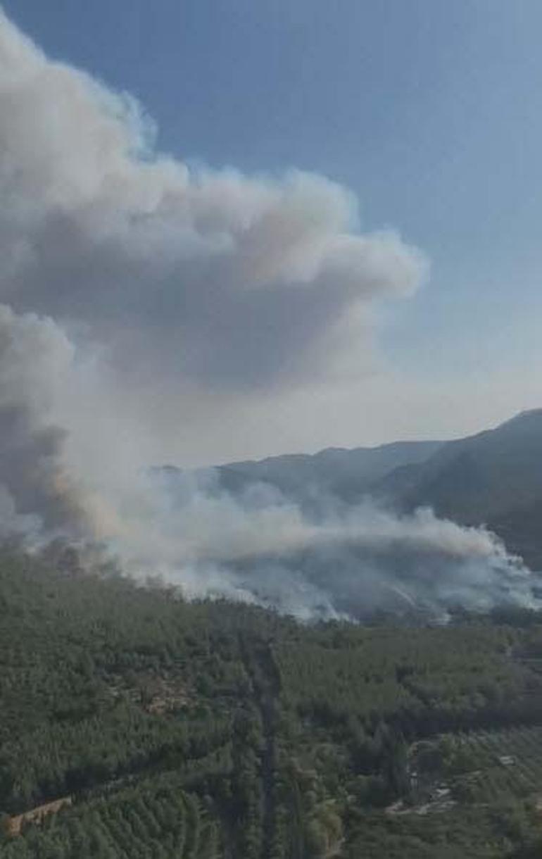 Menderes'te orman yangını