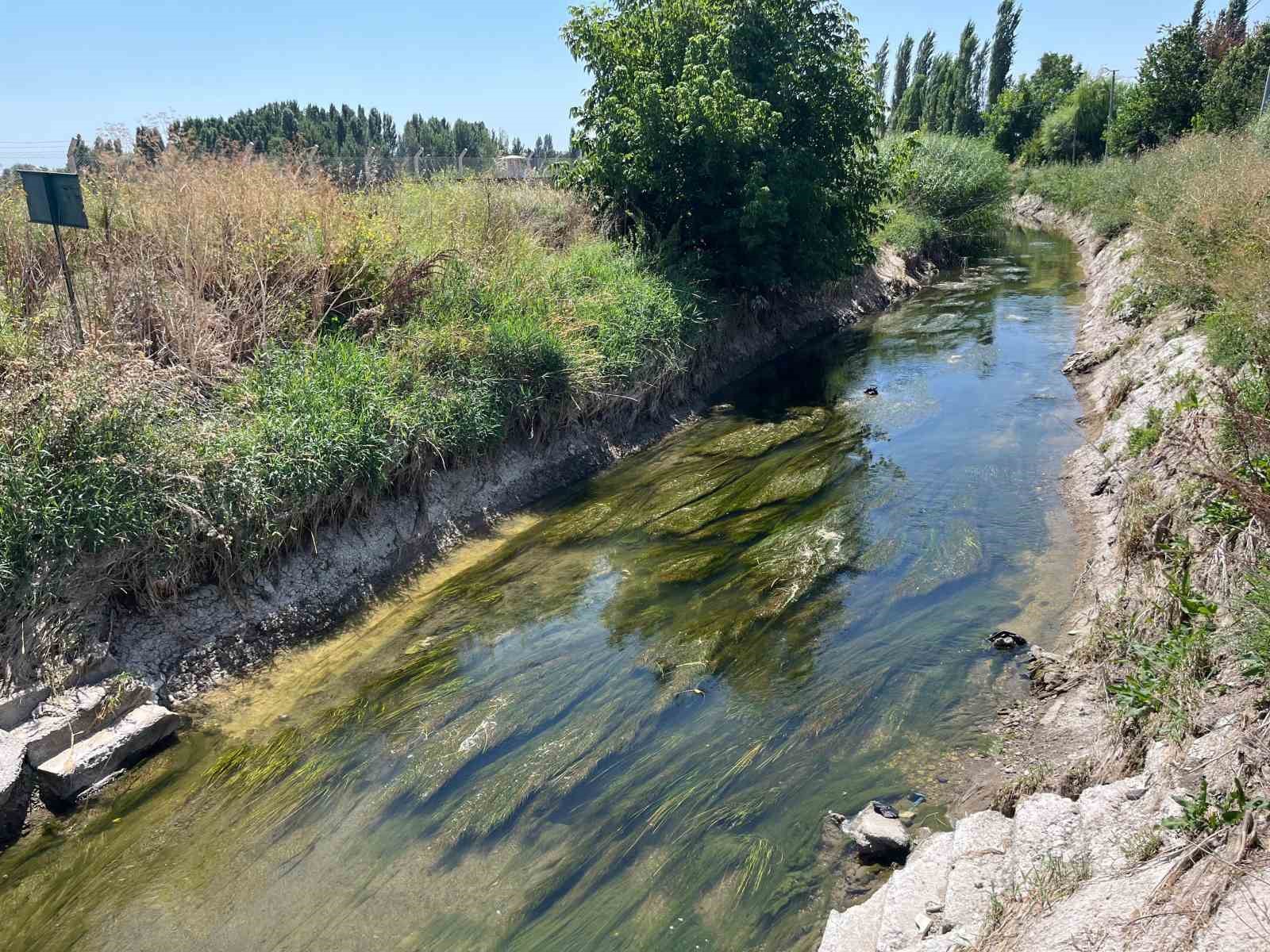 Sulama kanalında can pazarı