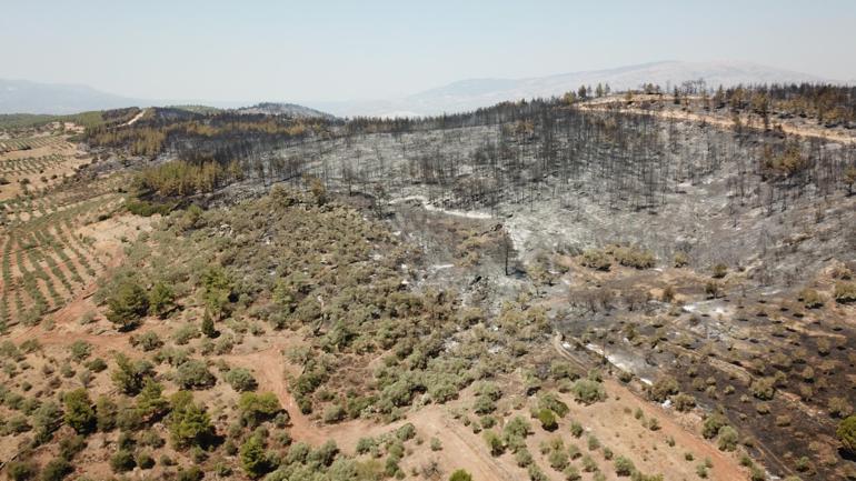 Orman yangınları ile ilgili 'halk sağlığı' uyarısı