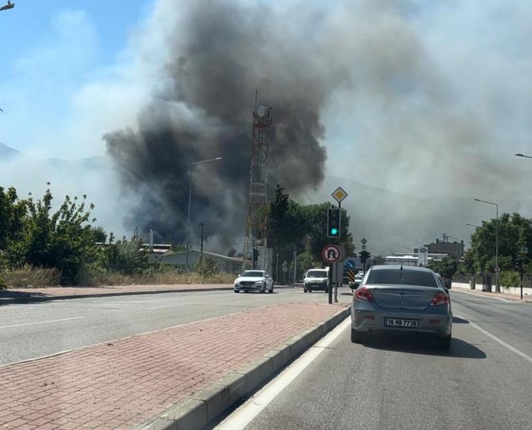 Bursa’da ot yangını