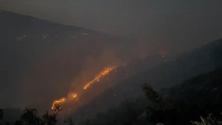 Bingöl'de orman yangını