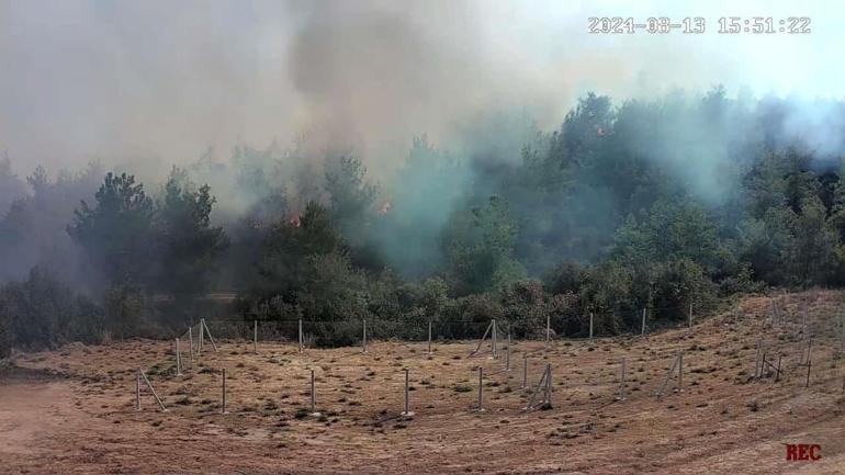 Adana'da orman yangını