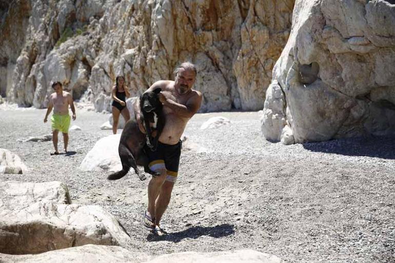 Koydaki mağaraya terk edilen köpek tekneyle karaya çıkarıldı