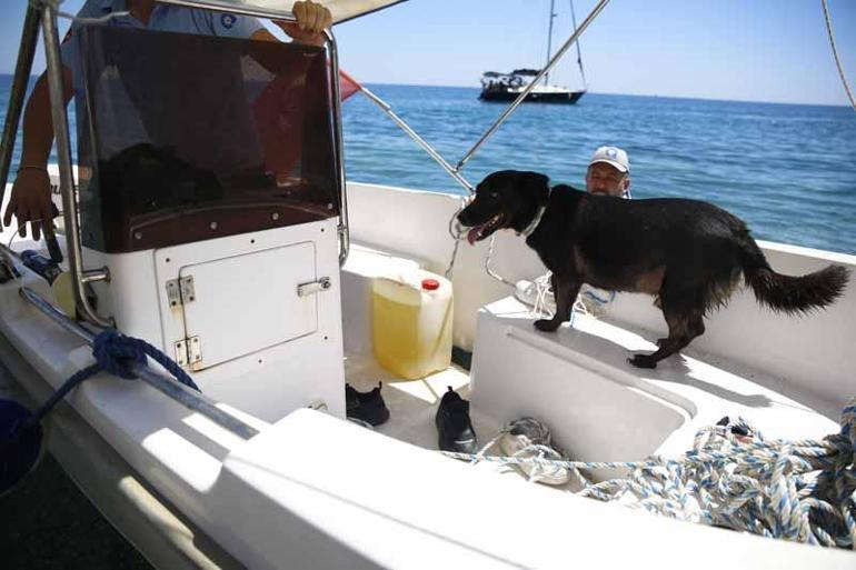 Koydaki mağaraya terk edilen köpek tekneyle karaya çıkarıldı