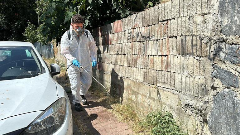 Kağıthane’de haşere ve sinek türlerine karşı ilaçlama yapılıyor