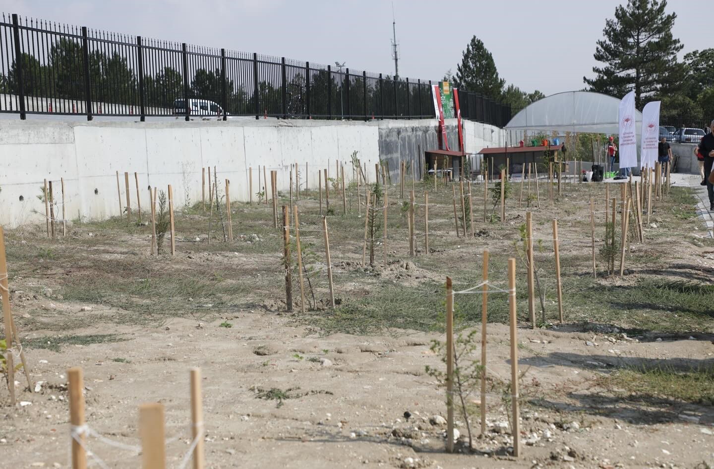 Öğrenciler ektiklerini hasat etti