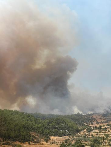 Muğla'da orman yangını