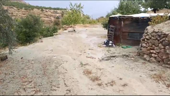 Elazığ’da sağanak ve dolu kayısı bahçelerine zarar verdi