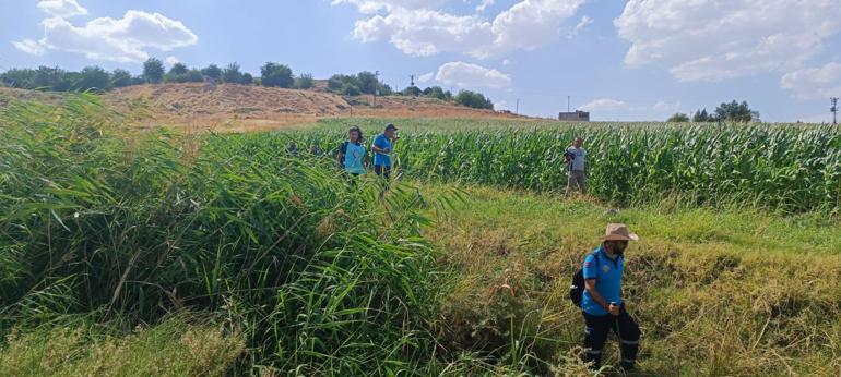 Kayıp Narin için mahallenin çevresi 8 kez arandı; özel ekip çalışmalarını sürdürüyor