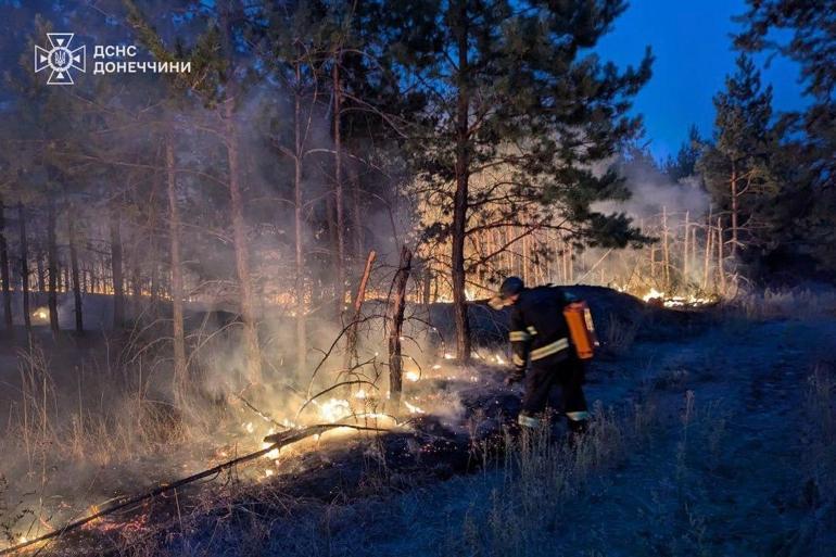 Donetsk bölgesinde Rus saldırısı sonrası orman yangını