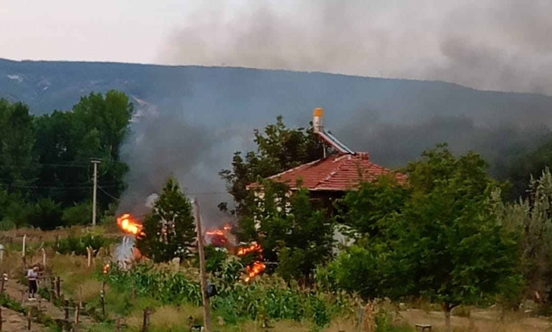 Tavşanlı’da odunluk yangını