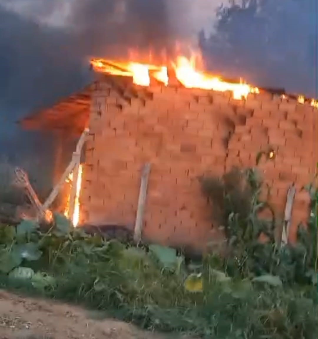 Tavşanlı’da odunluk yangını