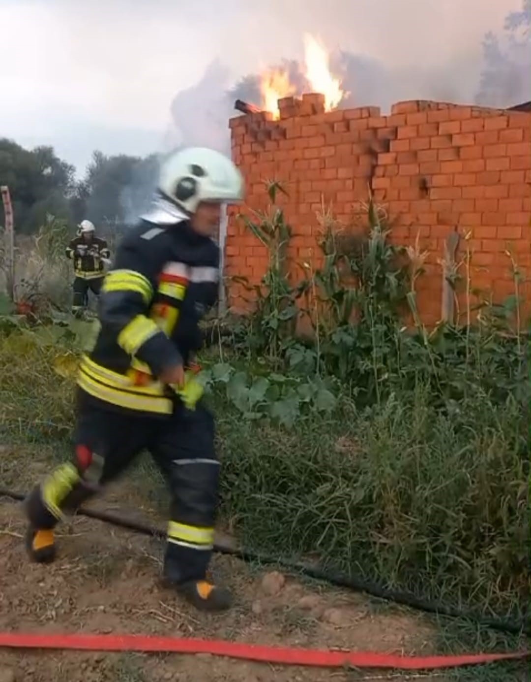 Tavşanlı’da odunluk yangını