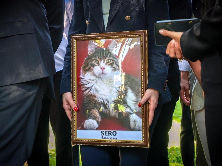 CHP'nin kedisi 'Şero' öldü