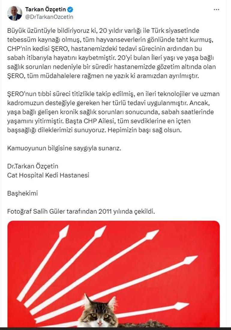 CHP'nin kedisi 'Şero' öldü