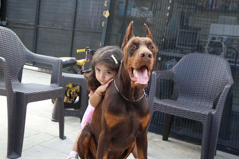 Kurduğu çiftlikle doberman yetiştirip, 40'ı aşkın ülkeye gönderdi