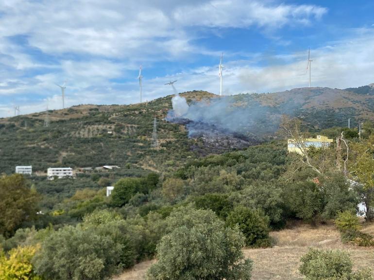 Erdek'te orman yangını 2 saatte söndürüldü; adalara elektrik verilemiyor