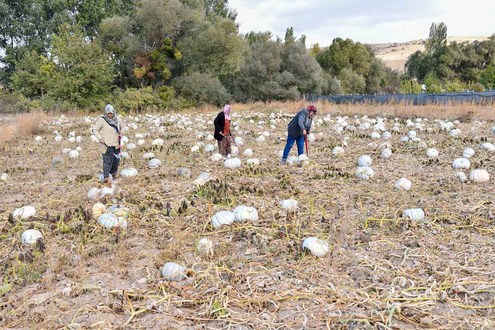 Üretici kadınlar hem mutlu hem gururlu