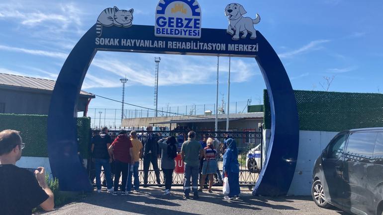 Rehabilitasyon merkezinde 45 hayvanın iğneyle öldürüldüğü iddiası