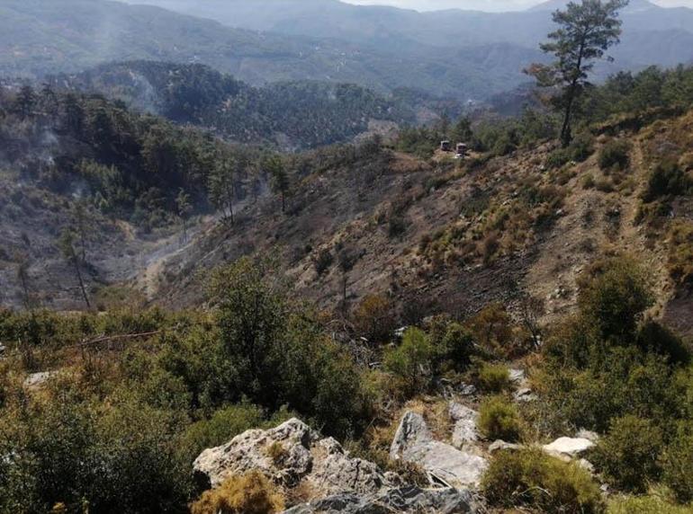 Muğla'daki orman yangını 3'üncü günde