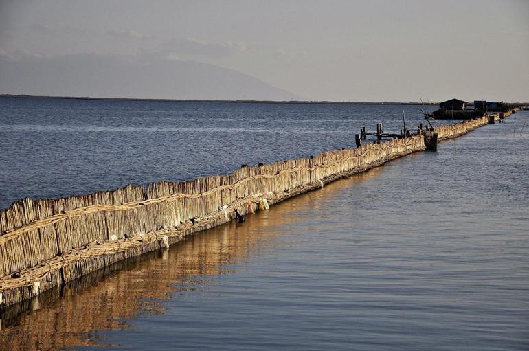 Yumurtalık Belediye Başkanı Altıok: Adana'da deniz var