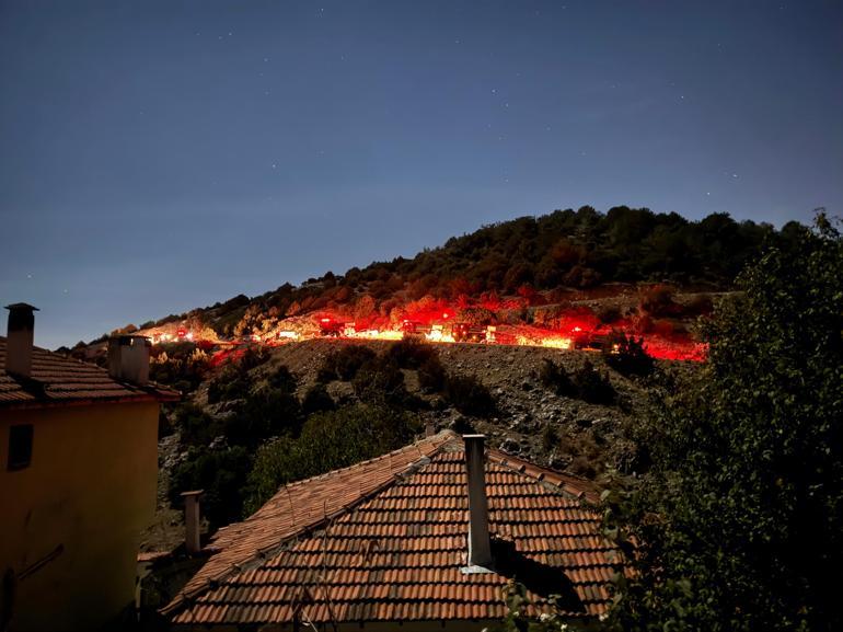 İzmir'de orman yangını 3 saatte kontrol altına alındı