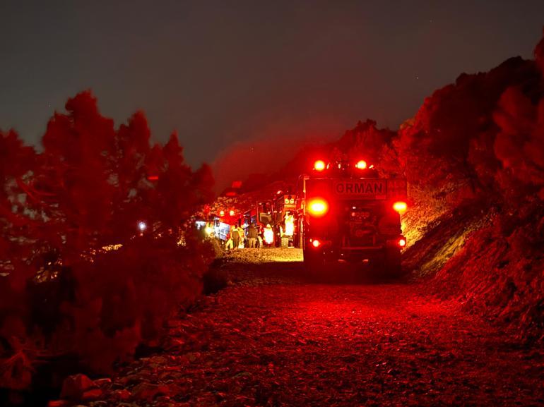 İzmir'de orman yangını 3 saatte kontrol altına alındı