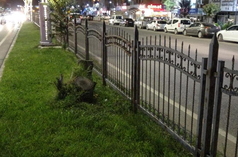 Refüjdeki demirlerden atlayıp, yolun karşısına geçmek isterken canından oldu