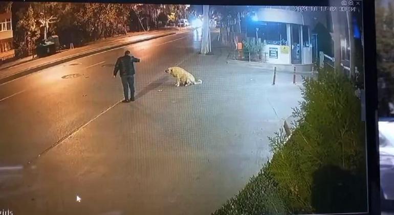 Bahçelievler'de tabanca ile köpeği korkutmaya çalışan bir kişi gözaltına alındı