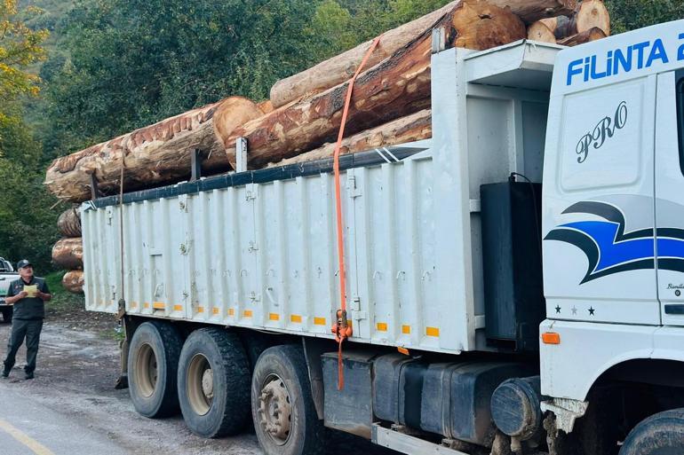 Orman ekiplerinden 115 noktada 'kaçak odun' denetimi